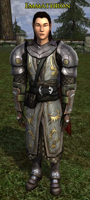 Emmathron in the Commander outfit: plate pauldrons and a long grey surcoat with gold patterns